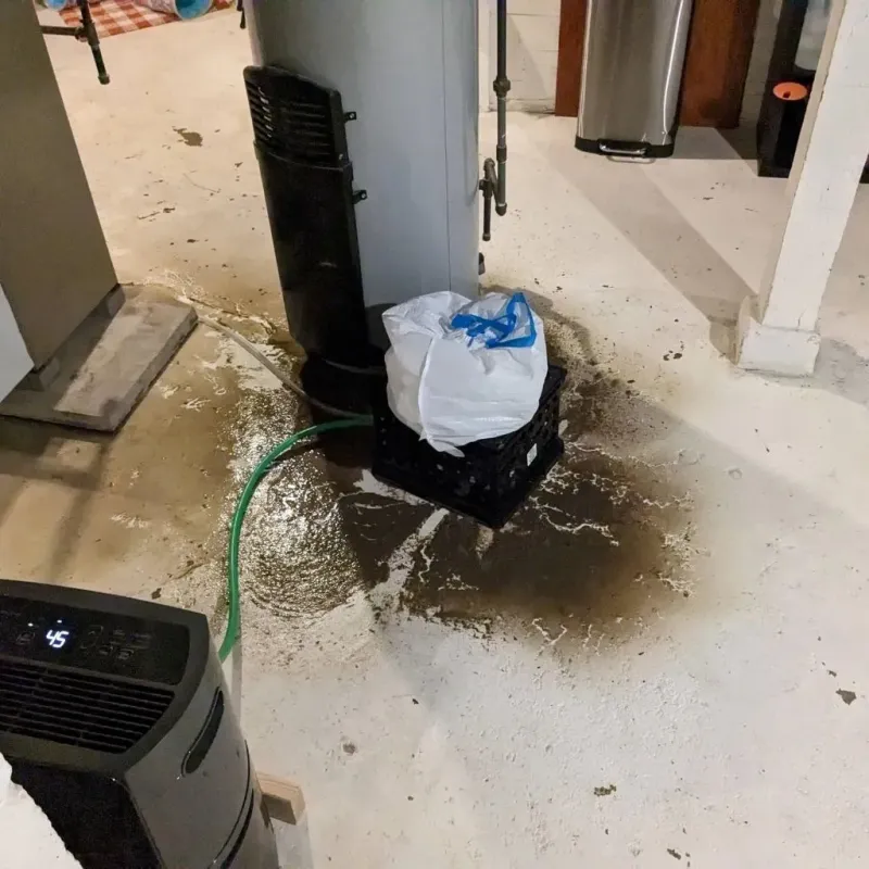 Sewage Backup Cleanup Service in Patillas Municipio, PR